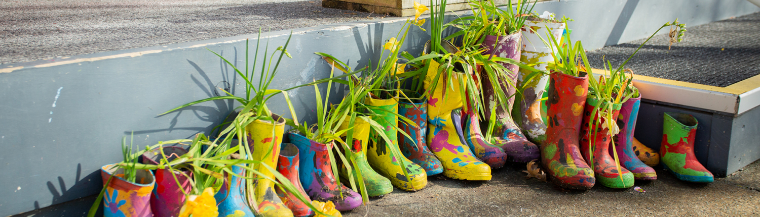 Gumboots Gumboot plants