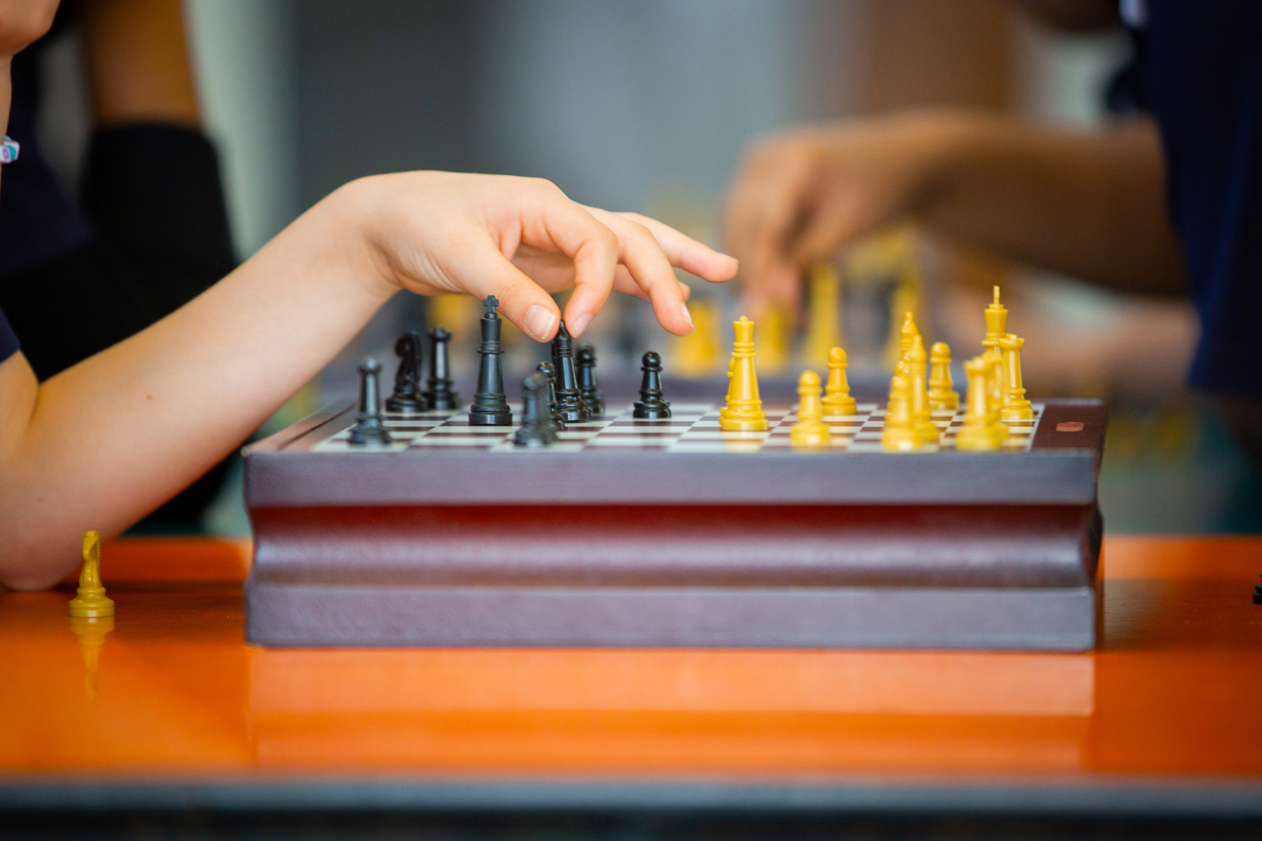 Chess Club specialist subjects and learning pathways